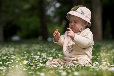 A baby is sitting on a flowery meadow, experiencing the surrounding nature by touching the flowers and harvesting the grass.の写真素材