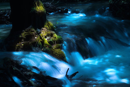 A running creek and a moss-grown tree.の写真素材