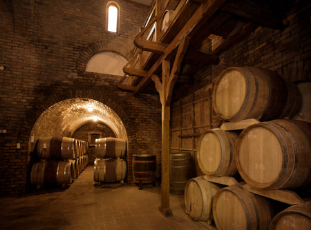 Wine barrels stacked in the old cellar of the vinery.