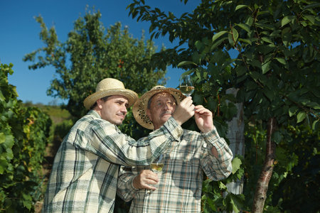 Winemakers testing wine outdoors in vinery.