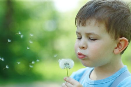 Four years old child blowing Dandelion seed outdoor in spring garden.の写真素材