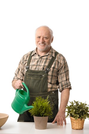 Smiling elderly man watering plants, cutout.の写真素材