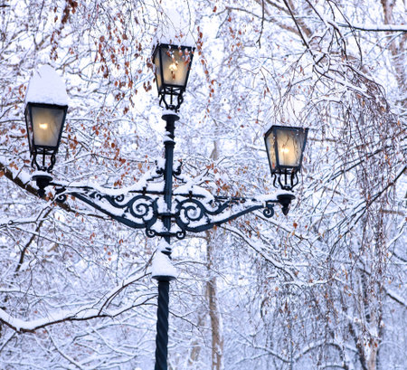 Winter, old lamp post covered by snow in city park.の写真素材