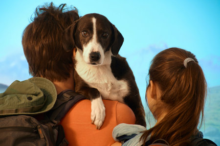 Couple hiking with dog, rear view.の写真素材