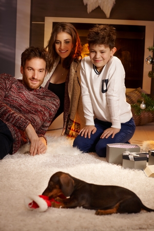 Young family watching dachshund puppy with love, receiving for christmas.の写真素材