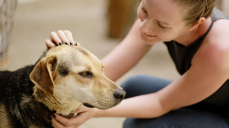 Woman playing with dog outdoor. Cute friendly pet, friendship, companion, love, animal.の写真素材