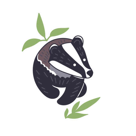 Badger vector illustration. Hand drawn cute Meles meles walking with leaves.のイラスト素材
