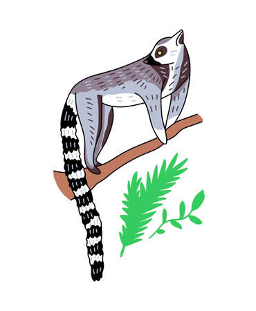Ring-tailed lemur vector illustration. Cute hand drawn animal with green plants isolated on white background.のイラスト素材