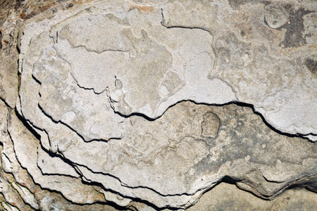 The surface of the stone with brown and gray tint