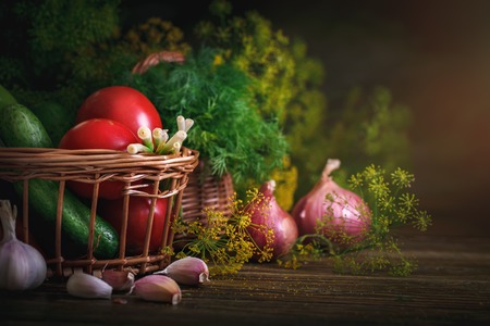 Summer still life of ripe vegetables and dill.の写真素材