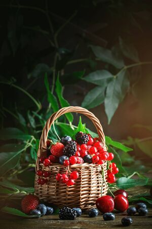 Ripe berries in a basket on a wooden table.の写真素材