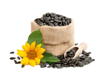 Beautiful flower of a sunflower and roasted sunflower seeds on a white background.の写真素材