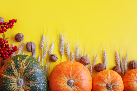 Yellow autumn background. Autumn harvest festival.の写真素材