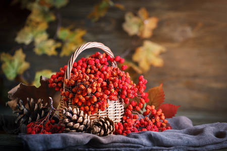 A basket of ash and dry leaves on a wooden table. Autumn still-life.の写真素材