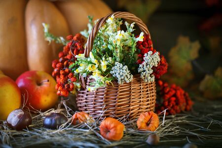 The wooden table decorated with vegetables, pumpkins and autumn leaves. Autumn background. Schastlivy von Thanksgiving Day.の写真素材