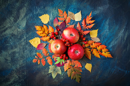 Autumn leaves, apples and berries on a dark background. Autumn background .の写真素材