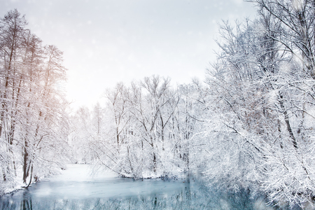 Beautiful winter landscape with snow covered trees. Happy New Year. Merry Christmasの写真素材