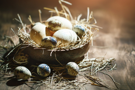Goose and quail eggs against a dark background. Easter still life.の写真素材