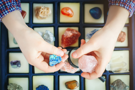 The child looks at his collection of minerals. The little geologist.の写真素材