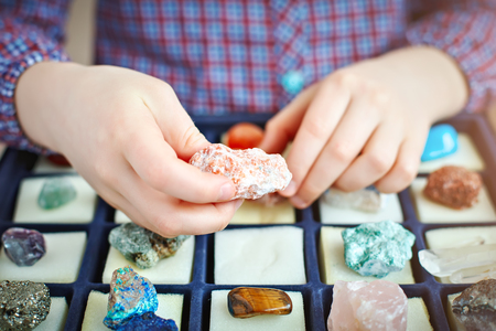 The child looks at his collection of minerals. The little geologist.の写真素材