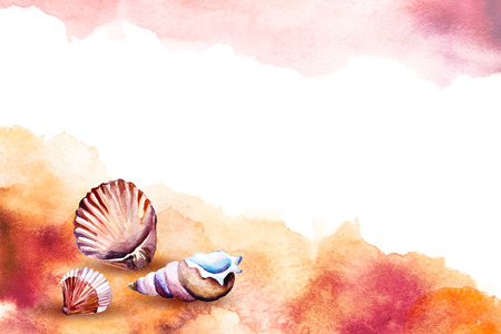 Watercolor illustration of a sea shells on a beach.の写真素材
