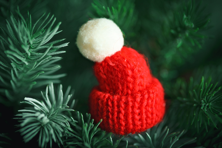 Merry Christmas and happy New year. Little knitted hat on the Christmas tree. Background with copy space.の写真素材