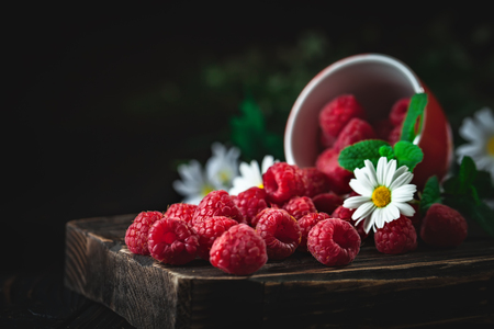 Raspberry in a red cup with chamomile and leaves on a dark background. Summer and healthy food concept. Background with copy space. Selective focus.の写真素材