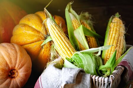 The table, decorated with vegetables and fruits. Harvest Festival. Happy Thanksgiving. Autumn background. Selective focus.の写真素材