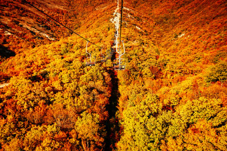 Autumn landscape beautiful colored trees. Wonderful picturesque background. Selective focus.