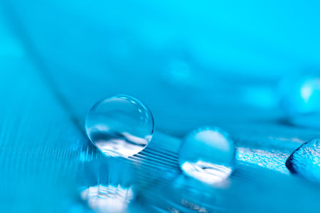 Beautiful transparent water drops or rain water on soft background. Macrophotography. Desktop background. Selective focus.の写真素材