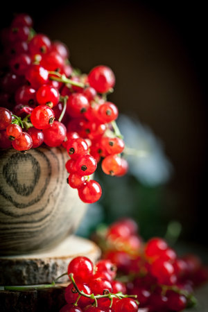 Fresh red currants in plate on dark rustic wooden table. Background with copy space. Selective...