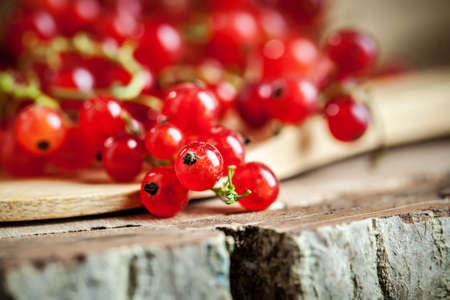 Fresh red currants in a Cup on a dark rustic wooden table. Background with space for copying. Selective focus.の写真素材