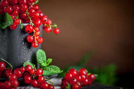 Fresh red currants in a Cup on a dark rustic wooden table. Background with space for copying. Selective focus.の写真素材