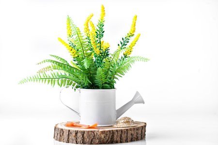 Beautiful yellow flowers in a vase on the table. On a white background.の写真素材