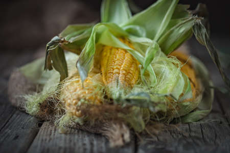 Fresh juicy corn with leaves on a wooden table. Autumn background. Selective focus.の写真素材