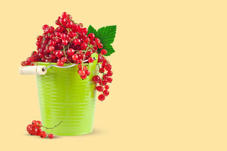 Red currant in a green cup on a yellow background. Horizontal. Background with copy space.の写真素材