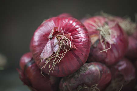 Red onion on a very old oak wooden board. Autumn background. Selective focus.の写真素材