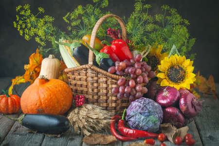 The table, decorated with vegetables, pumpkins and fruits. Harvest Festival, Happy Thanksgiving. Autumn background. Selective focus. Horizontal.の写真素材