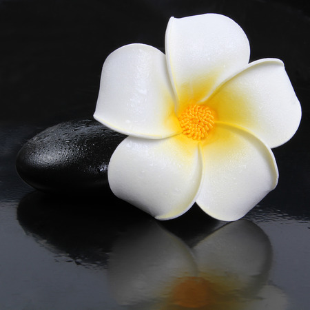 zen stone with frangipani plumeria flower の写真素材