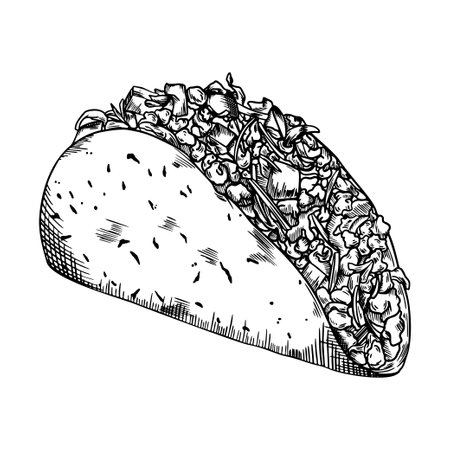 Taco Hand Drawn Skecth , Mexican Food Illustrationのイラスト素材