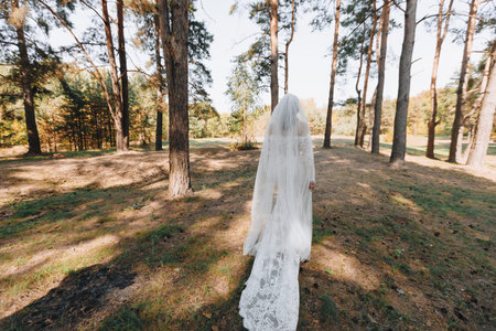 Bride in a long white lace wedding dress and veil walks through a sunlit pine forest, symbolizing...
