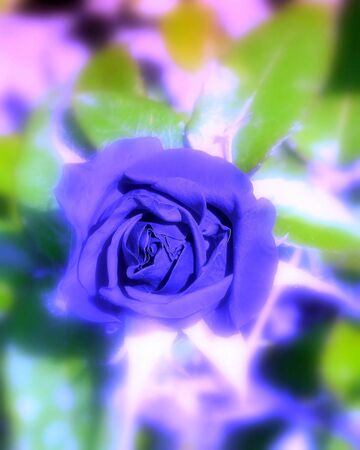 Aura dreamsの写真素材