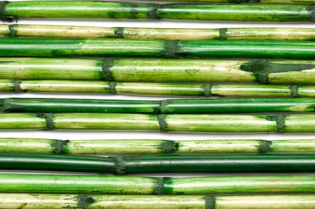 Texture の写真素材