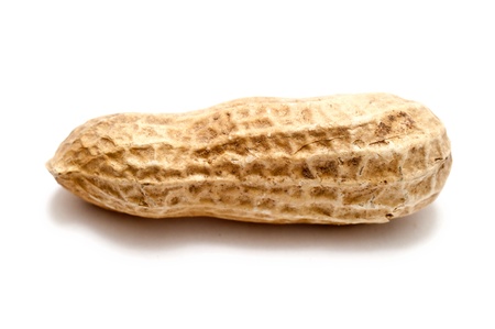 a single peanut over a white background