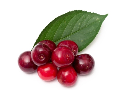 cherries over a white background