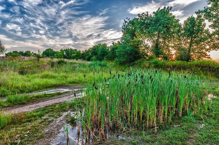 hdr image of a landscape