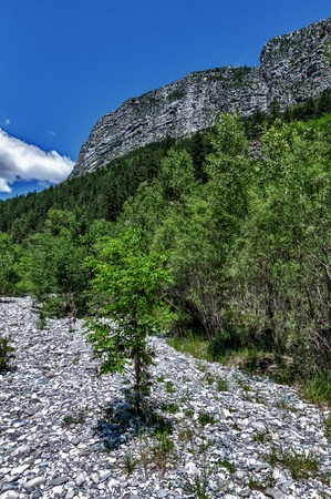 hdr image of a landscapeの写真素材