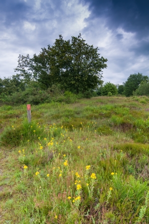 hdr image of a landscapeの写真素材