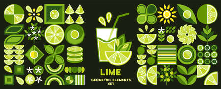 Set of design elements, logo with Lime in simple geometric style. Abstract shapes. Good for branding, decoration of food package, cover design, decorative print, background.のイラスト素材