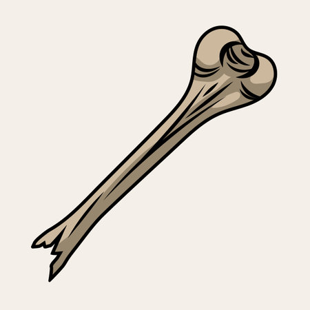 Half broken off bone in vintage style. Illustration for Halloween, Day of dead, Dia de los muertos.のイラスト素材